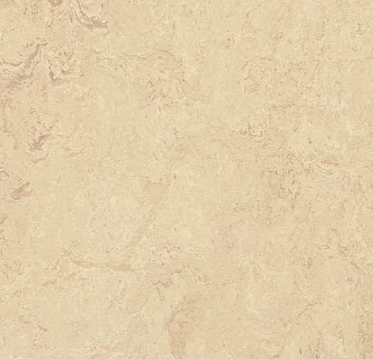 t2713 calico