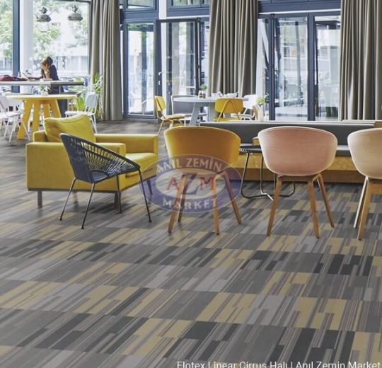 leke tutmayan ofis halısı Flotex linear cirrus