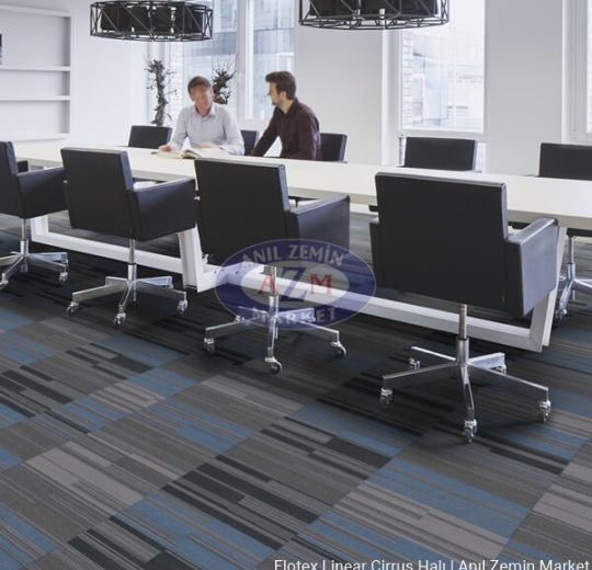 leke tutmayan ofis halısı Flotex linear cirrus
