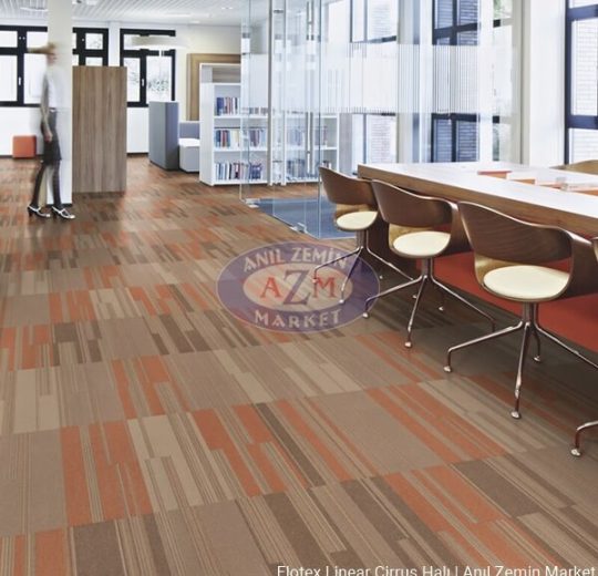 leke tutmayan ofis halısı Flotex linear cirrus