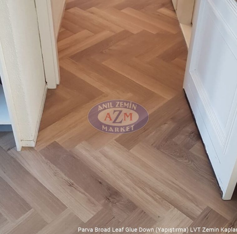 Mflor LVT zemin kaplama uygulama Parva Broad Leaf Warm Sycamore 40815 uygulama görseli 1