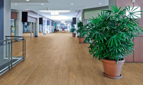 Celtic Woods LVT zemin kaplama Florence Ash görseli lvt zemin kaplama - ucuz lvt - ofis kaplaması - suya dayanıklı zemin kaplama - mflor pvc zemin kaplama - yapıştırma zemin kaplama
